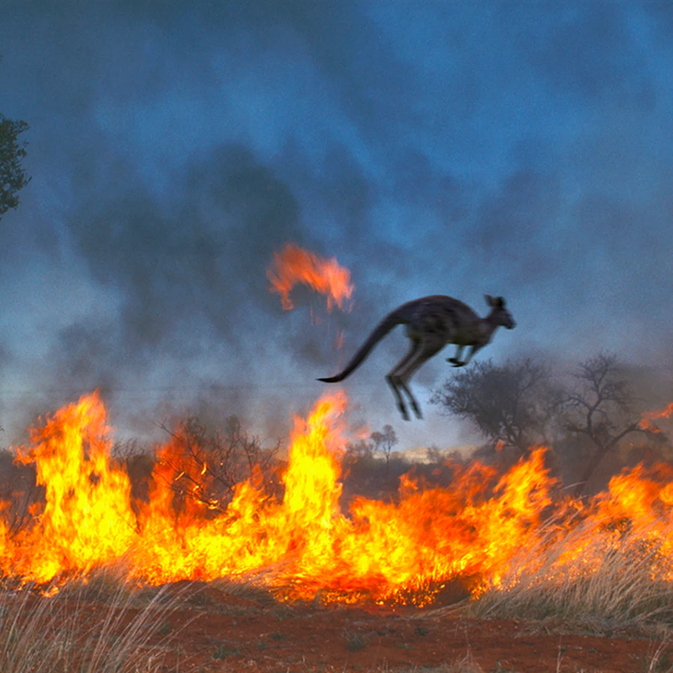 Bushfires